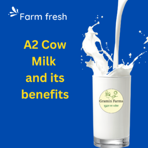 A2 Cow milk and its benefits