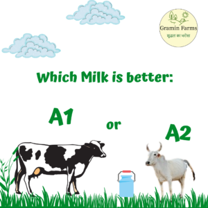 Which milk is better - A1 or A2