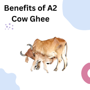 A2 Cow Ghee