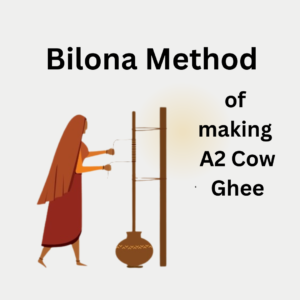 Bilona method of making A2 cow ghee